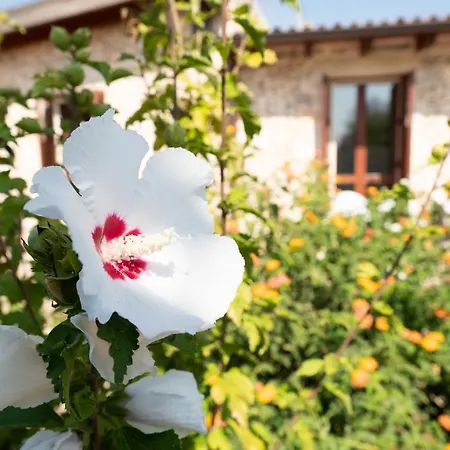 Farmház Masseria Pallanzano Con Piscina