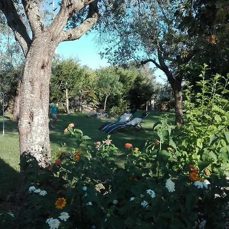 Masseria Pallanzano Con Piscina *