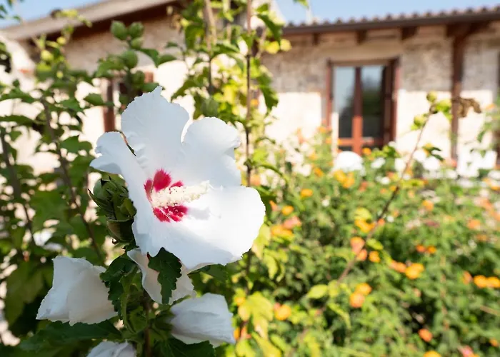 Farmház Masseria Pallanzano Con Piscina
