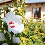 Farma Masseria Pallanzano Con Piscina