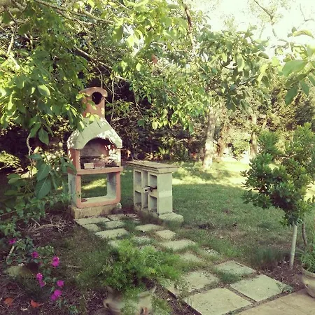 Masseria Pallanzano Con Piscina Farm stay *